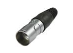 REAN Y Series RJ45 Connectors