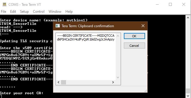 Pasting the Root Credentials