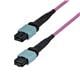 StarTech OS2MTP24BOFNP3M
